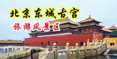 大鸡操骚逼软件网站中国北京-东城古宫旅游风景区